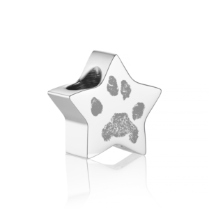 Silver Star Paw Print Pandora Compatible Charm Paw Print Jewellery Memorial Jewellery - Inscripture